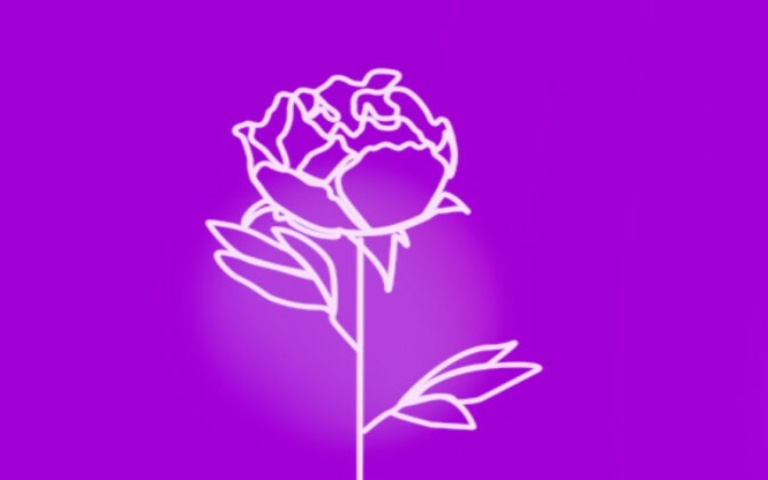 rosa
